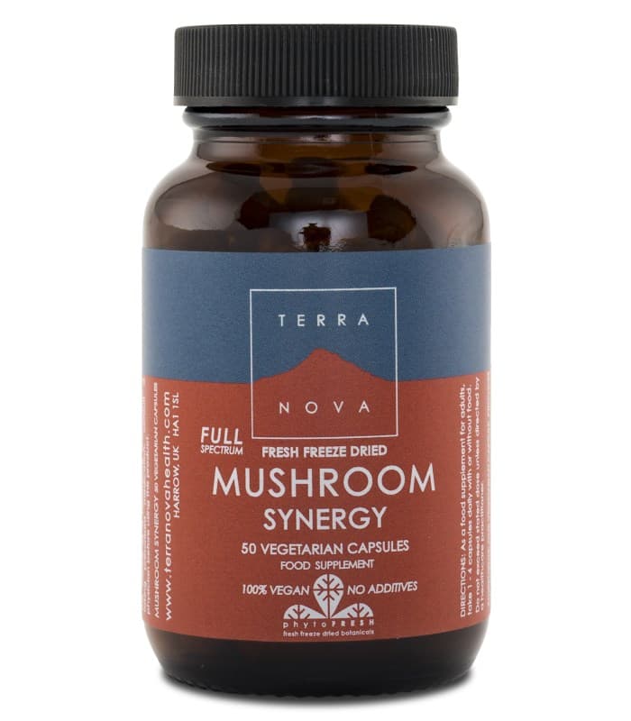 Terranova Mushroom Synergy från Terranova – kosttillskott