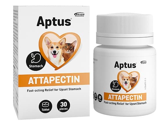 Aptus Attapectin tabletter 30 st från Aptus – tabletter