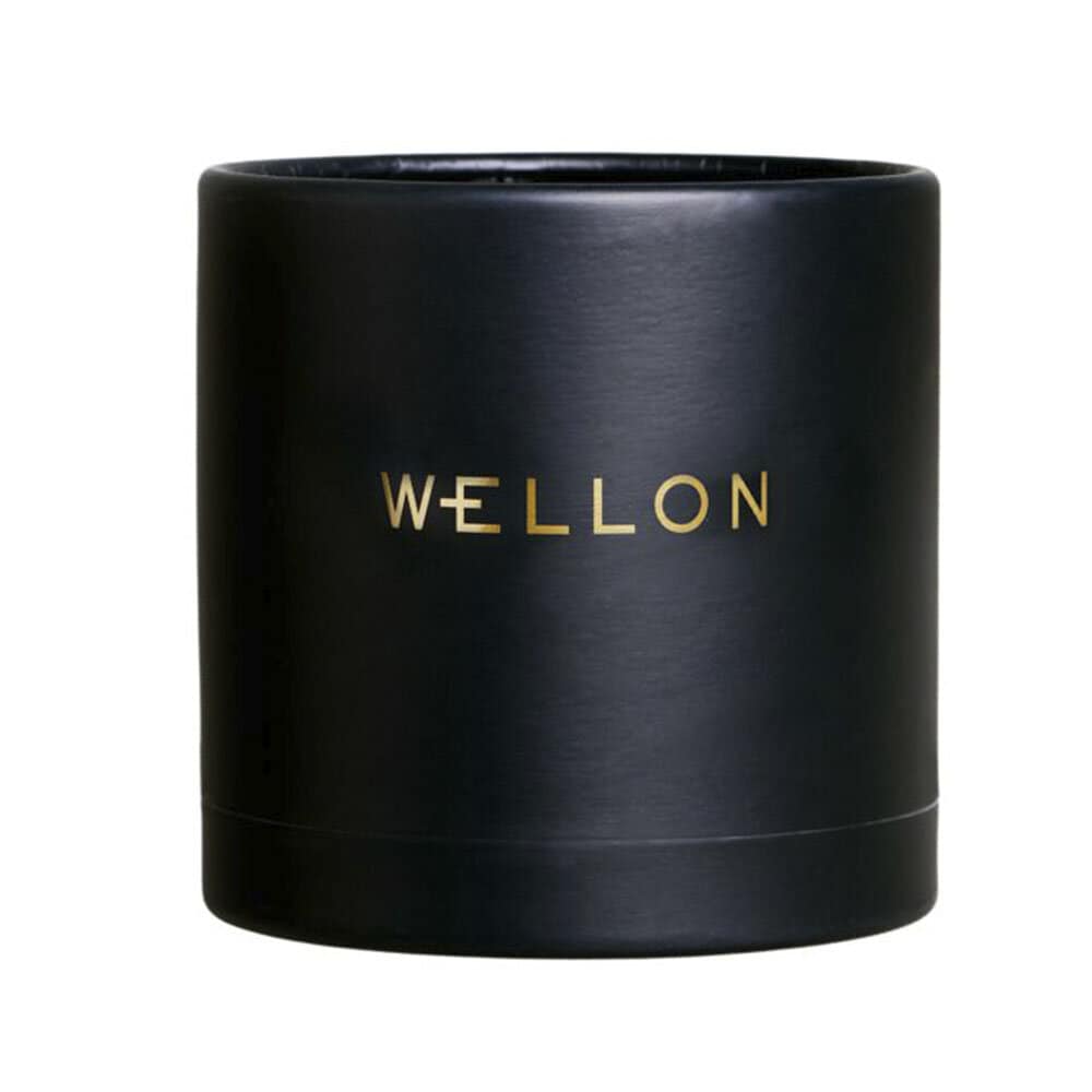 Wellon man från Wellon – annat