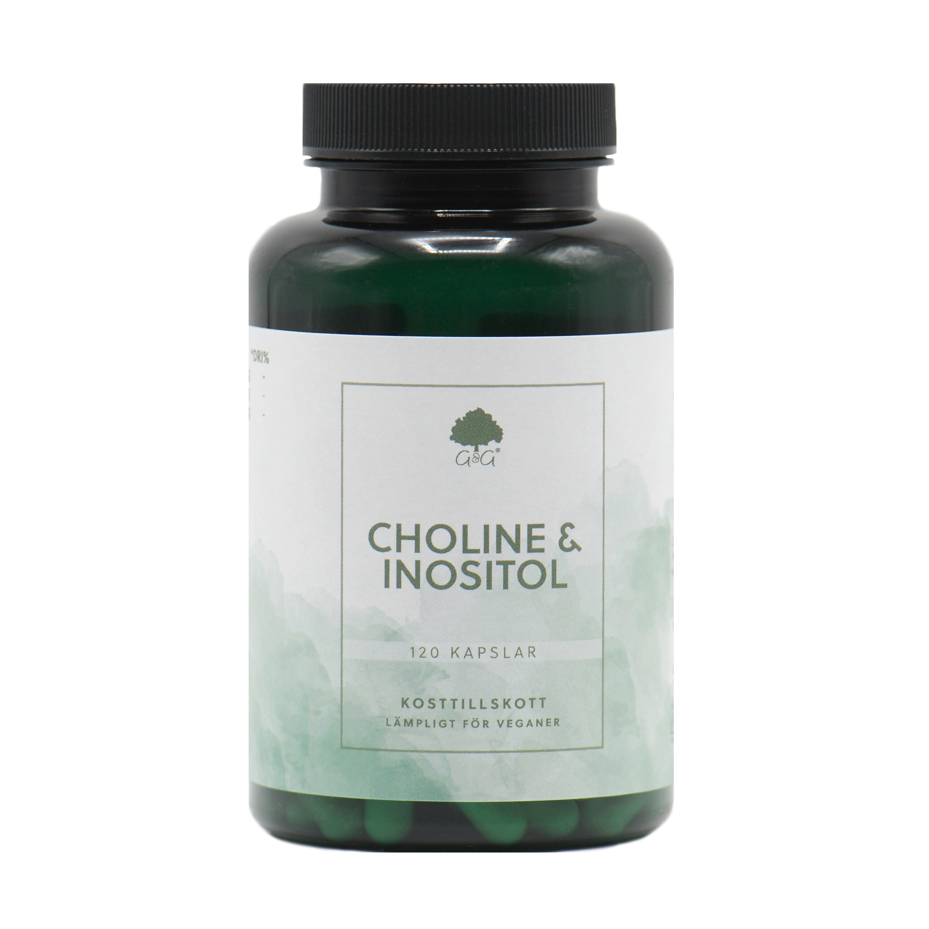 Choline 250mg & Inositol 250mg 120 kapslar från G&G Vitamins – kapslar