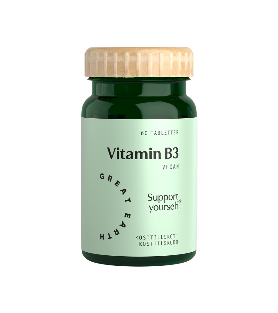 Vitamin B3- Niacin från Great Earth – kapslar