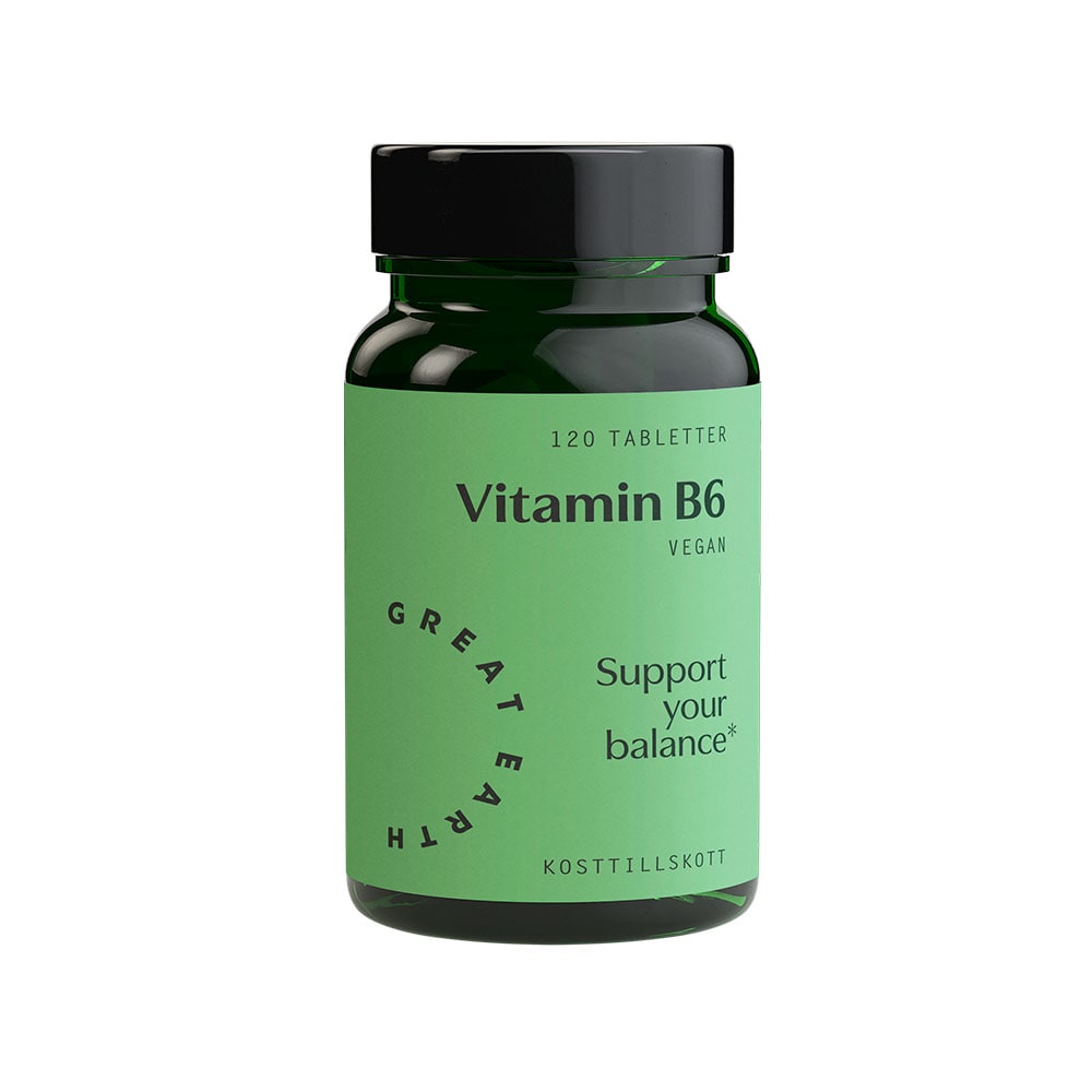 Vitamin B6 120 tabletter från Great Earth – tabletter